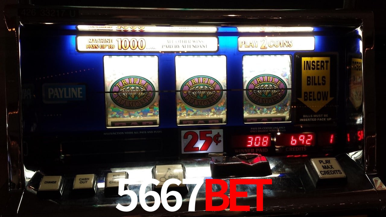 Sports Statistics 5667Bet